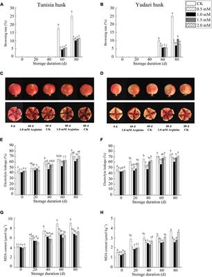 Exogenous Arginine Treatment Maintains the Appearance and Nutraceutical Properties of Hard- and Soft-Seed Pomegranates in Cold Storage